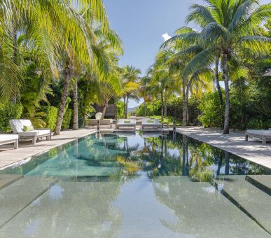 Картинка 1 Фото 1