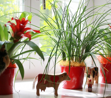 Картинка Park Hotel Weggis - The Sparkling Resort 75 Фото Park Hotel Weggis - The Sparkling Resort 75