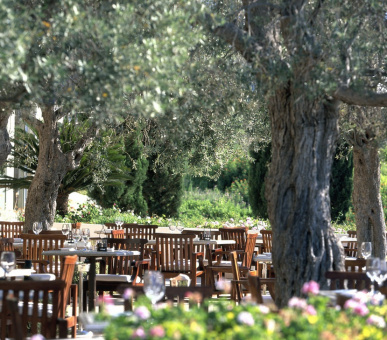 Фото Anassa (Кипр, Полис) 33