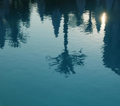 Фото Royal Riviera Et l`Orangerie (Франция, Кап Ферра) 20