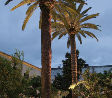 Фото HOSPES PALACIO DEL BAILIO (Испания, Кордова) 10