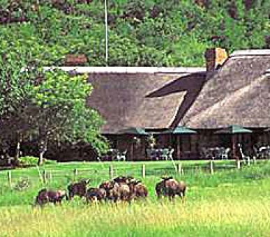 Картинка 10 Фото 10