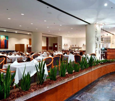 Картинка Brisbane Hilton (Австралия, Брисбен) 14 Фото Brisbane Hilton (Австралия, Брисбен) 14