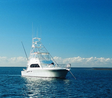 Картинка 9 Фото 9