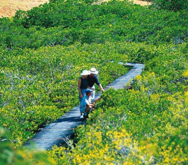 Картинка 17 Фото 17