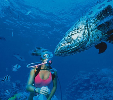 Картинка 10 Фото 10