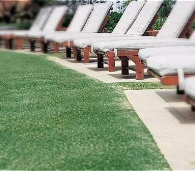 Картинка 10 Фото 10