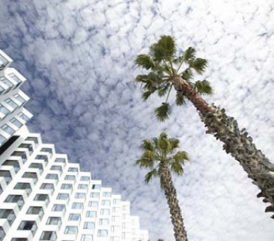 Картинка 7 Фото 7