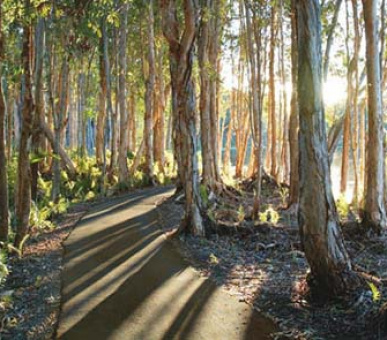 Картинка 4 Фото 4