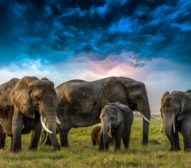 Подорож через 5 країн Південної Африки