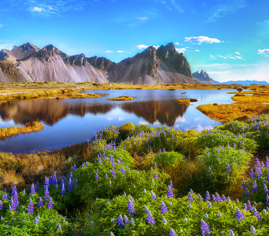 Подорож по Ісландії