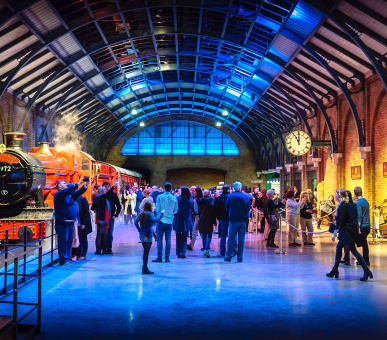 Чарівний світ Гаррі Поттера