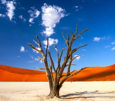 Чарівна подорож з кращим гідом-натуралістом Намібії